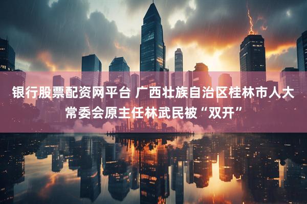 银行股票配资网平台 广西壮族自治区桂林市人大常委会原主任林武民被“双开”